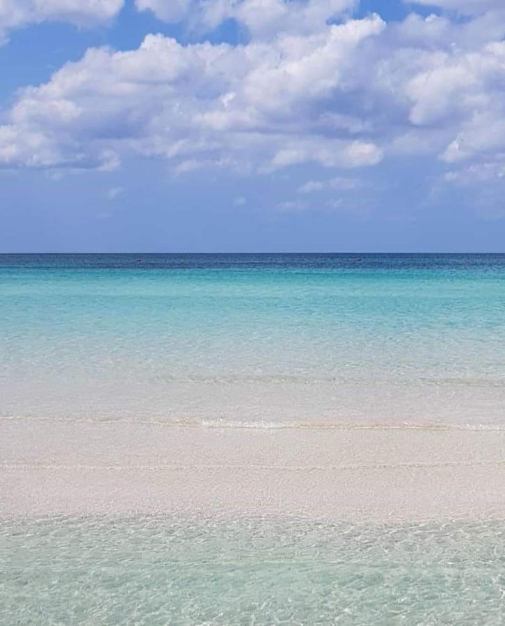 Manidibianco Apulian Relaxing Stay توري المظهر الخارجي الصورة